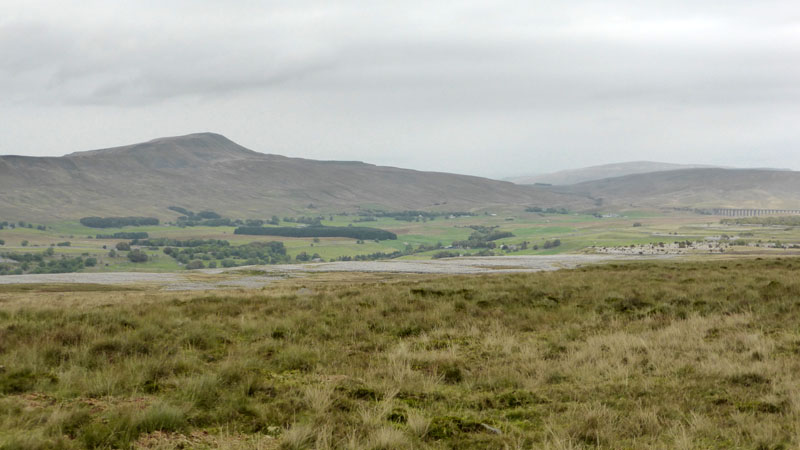 Limestone pavement