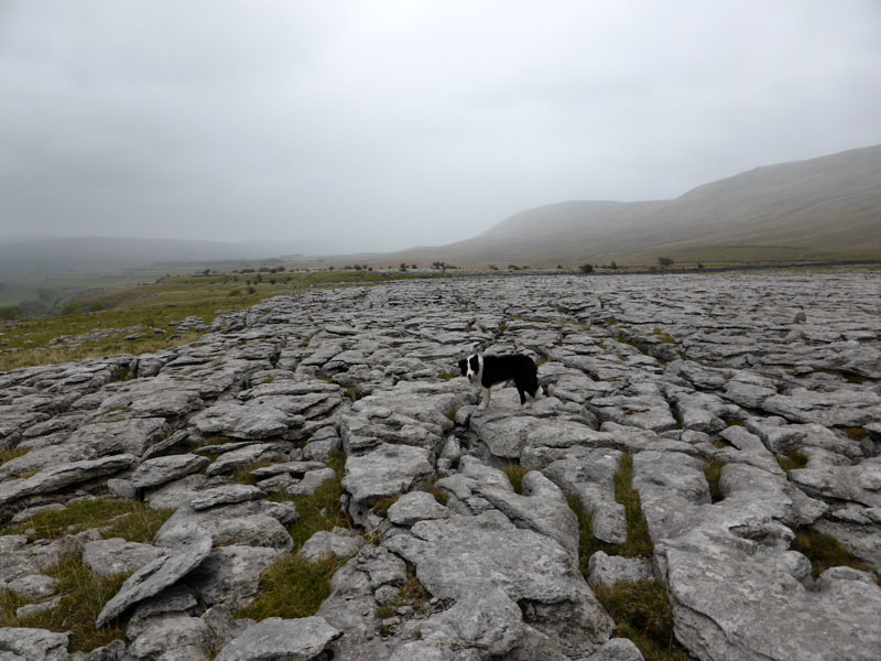 Pavemen of Limestone