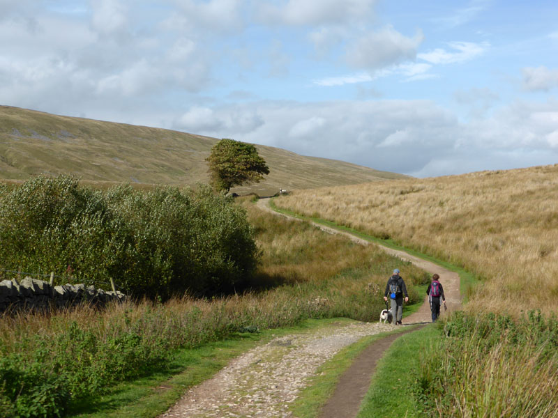 Ribblehead Walkers