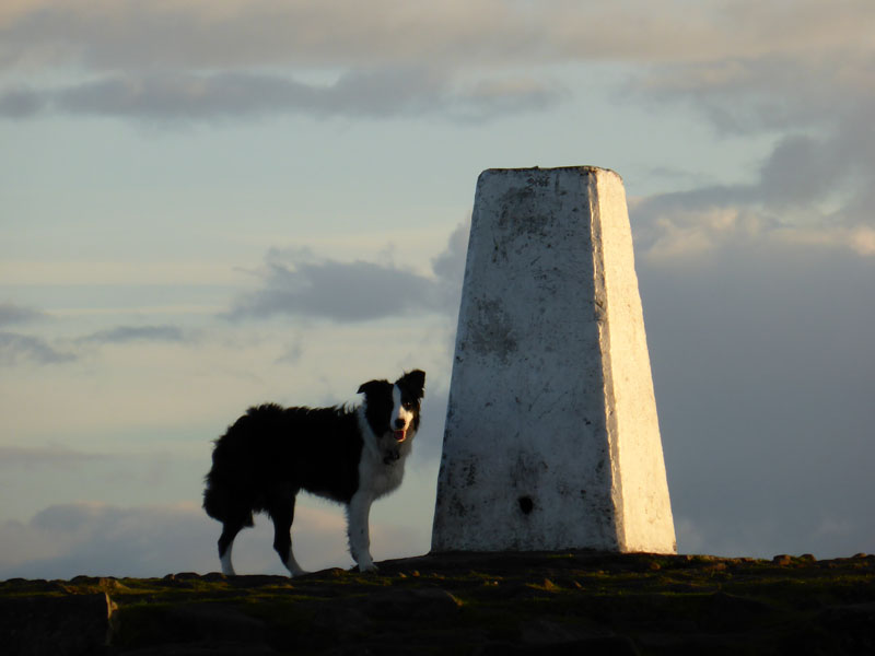 Pendle Summit