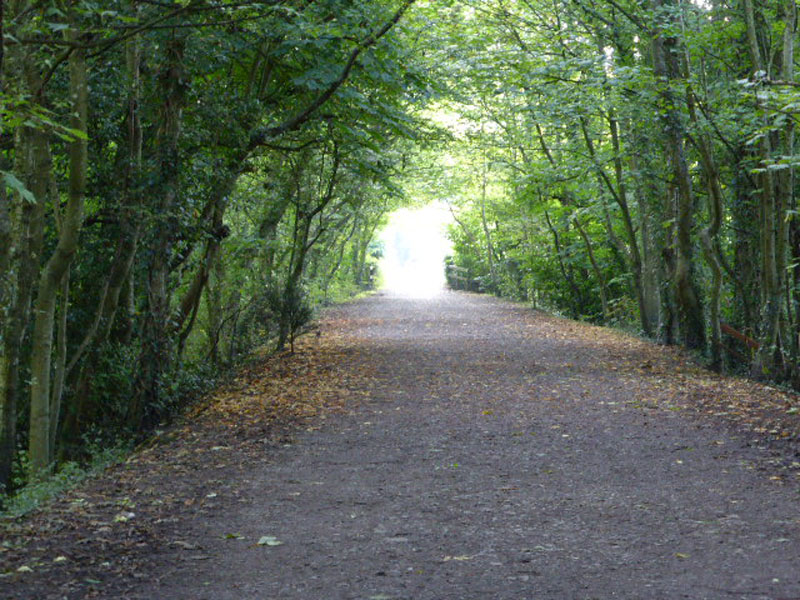 Keswick Railway Path