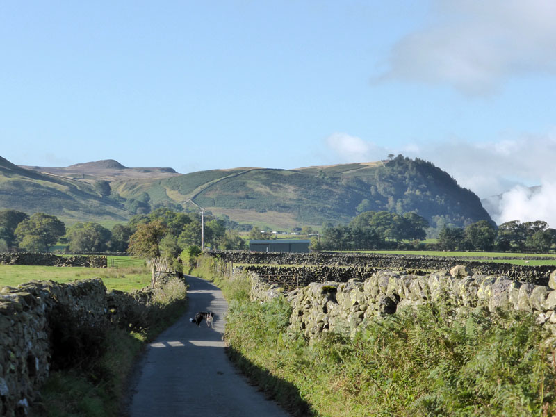 Castle Lane