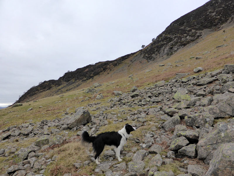 Rowan on Crag