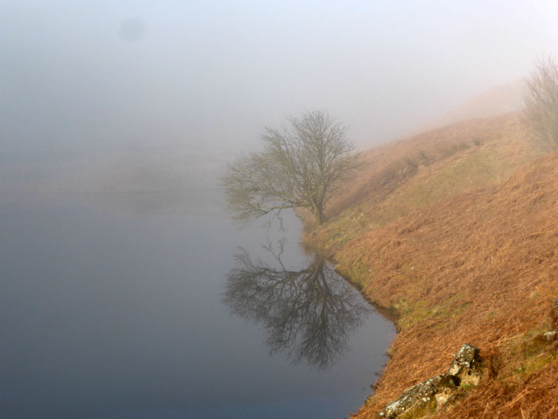 Pendle Walk