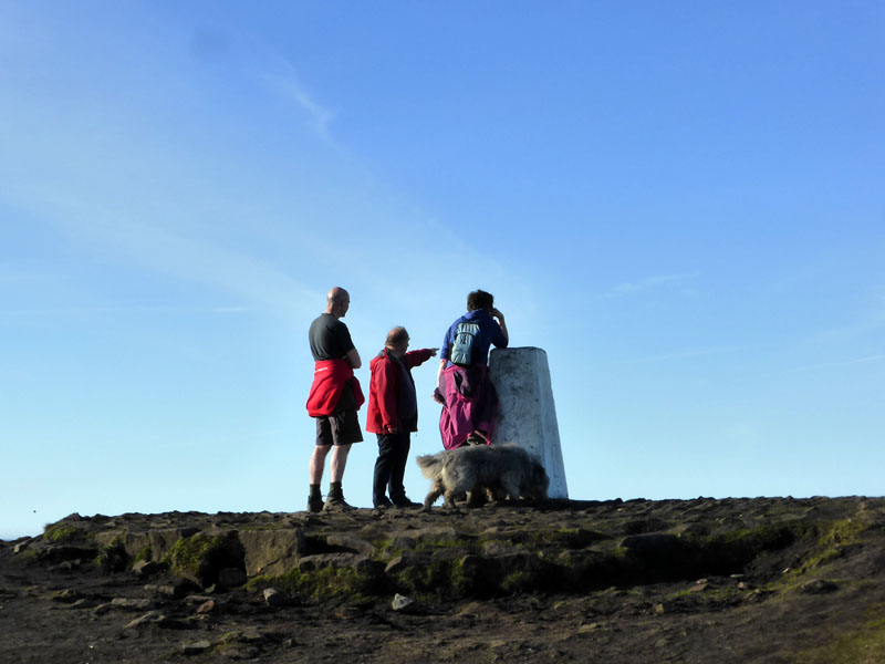 Pendle Guide