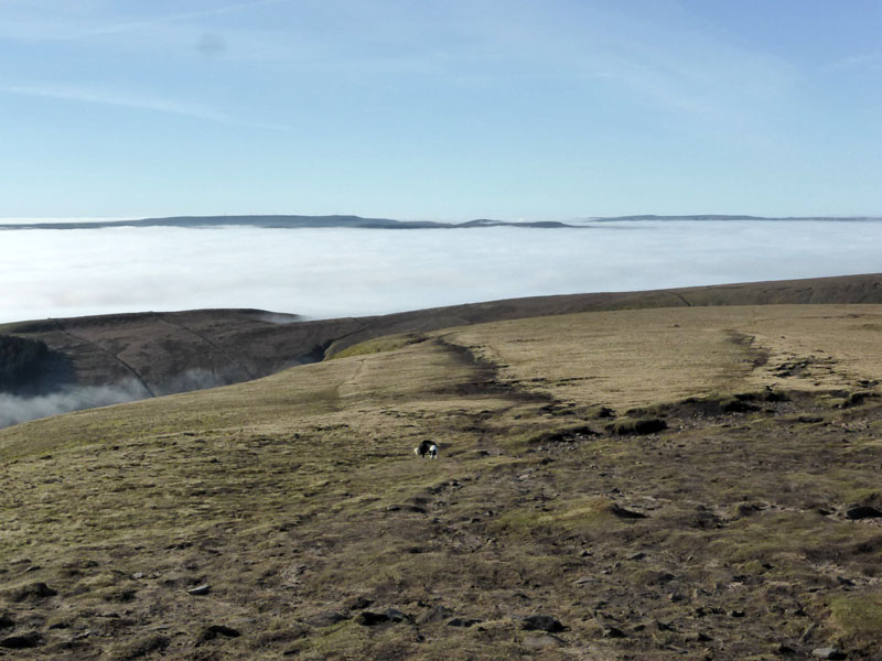 Burnley Mist