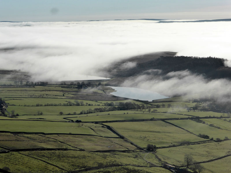 Black moss res