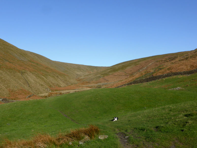 Ogden Clough