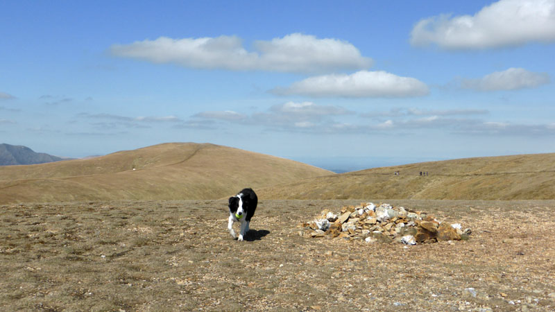 Stybarrow Dodd Summit