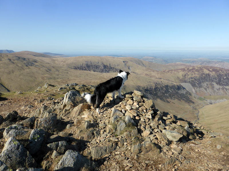 Catstycam Summit