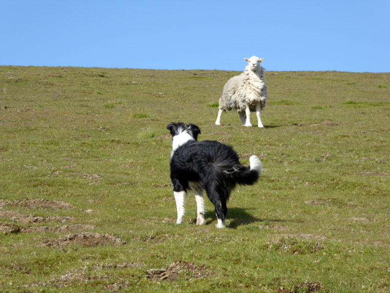 Stand-Off