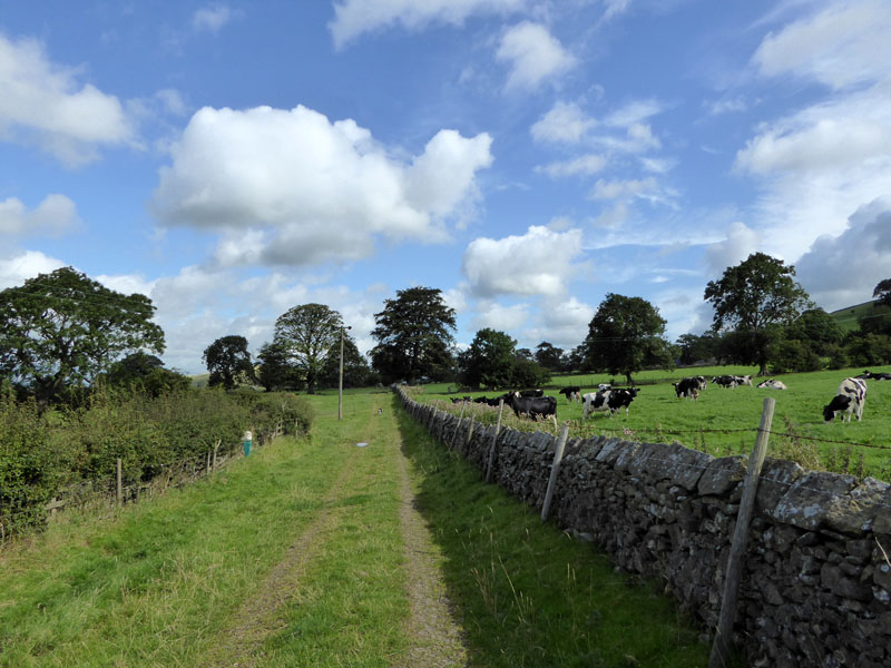 Lane Side