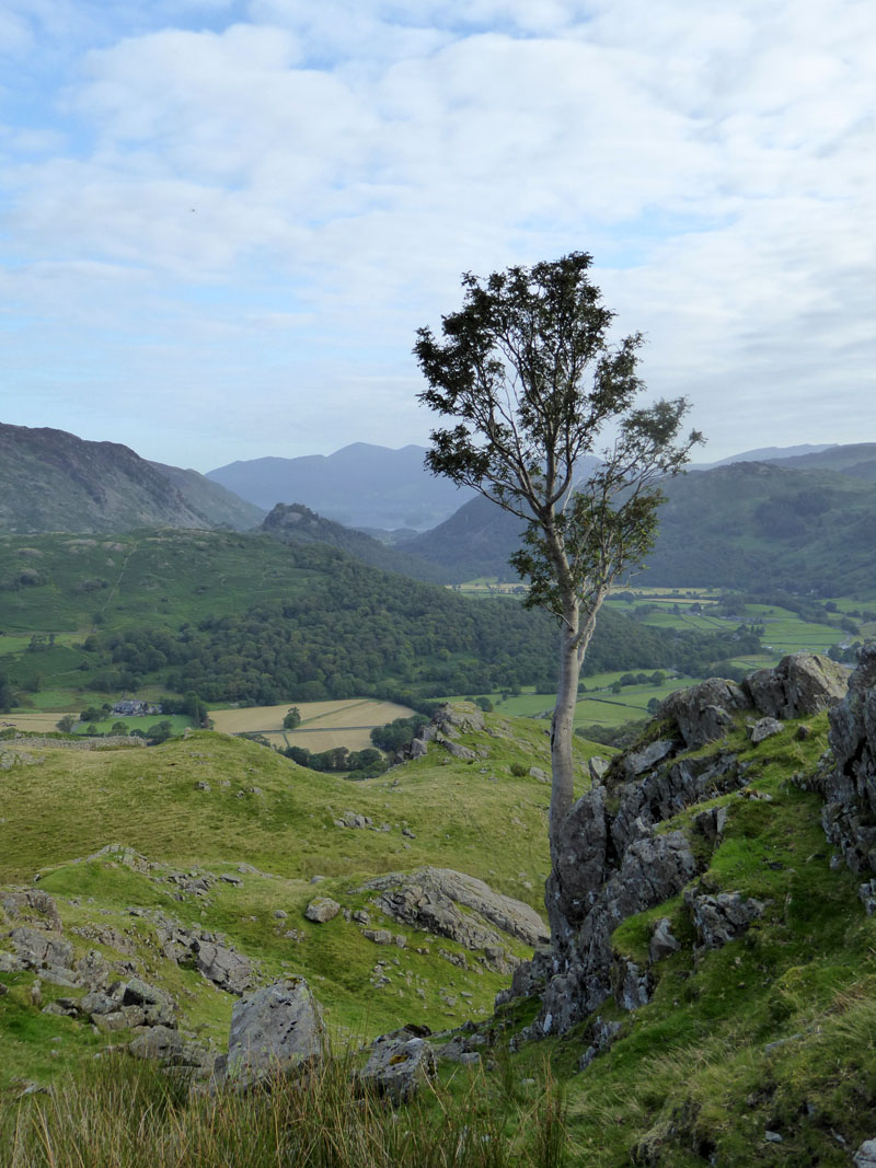 Borrowdale View