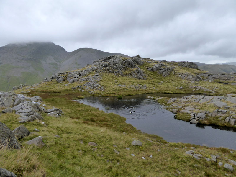 Seathwaite Fell