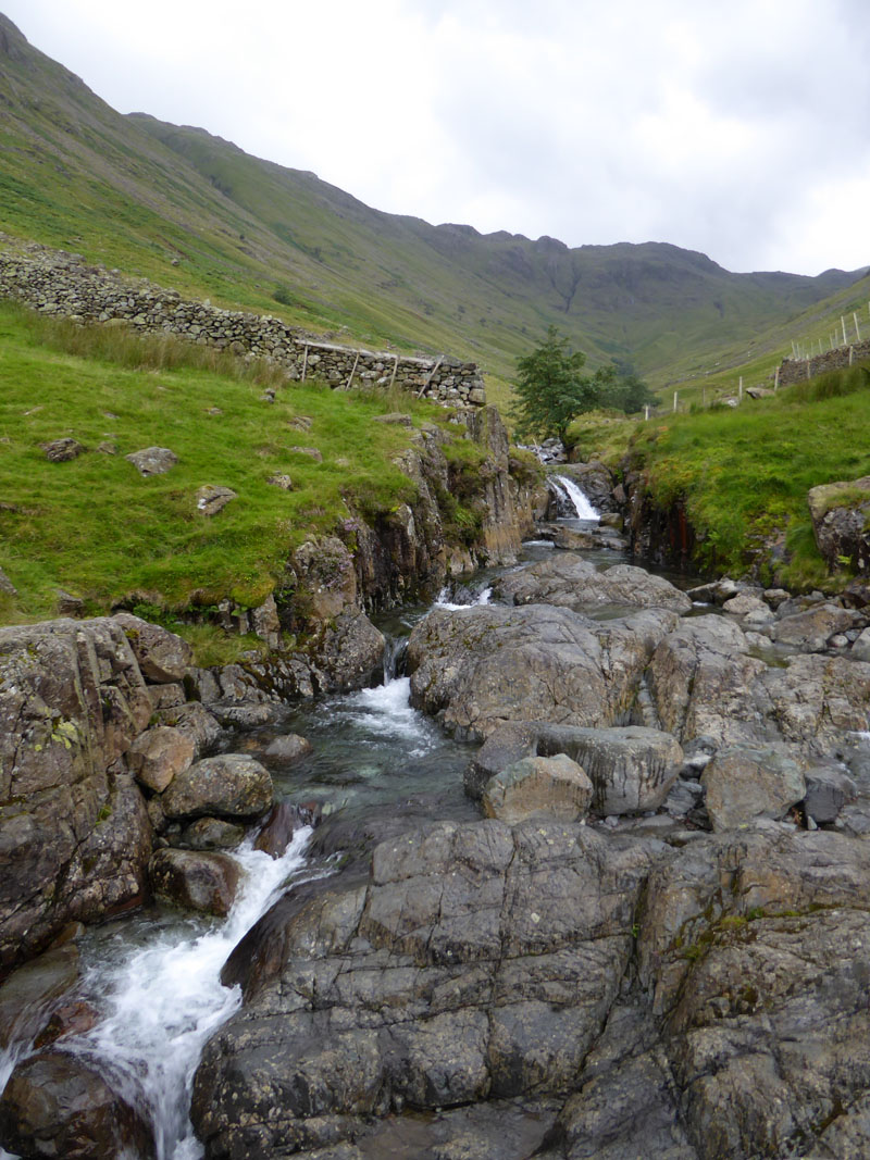 Grains Gill