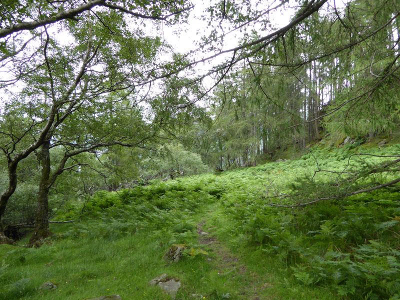 Mossdale Beck