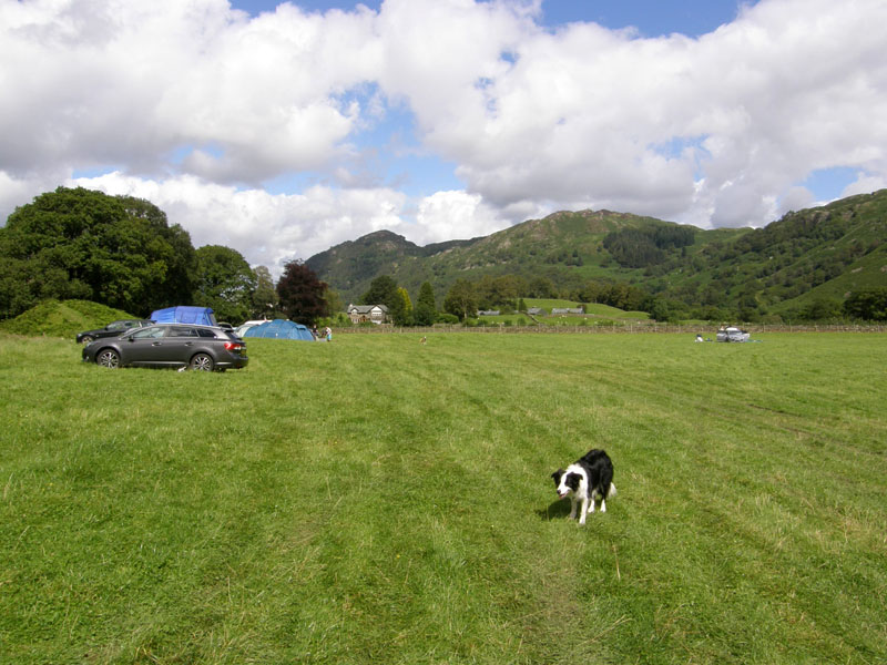 Chapel House Farm Campsite
