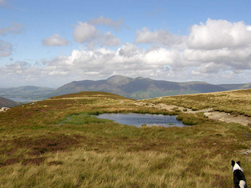 Maiden Moor