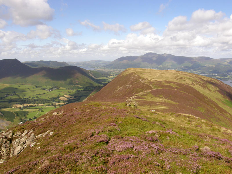 Maiden Moor