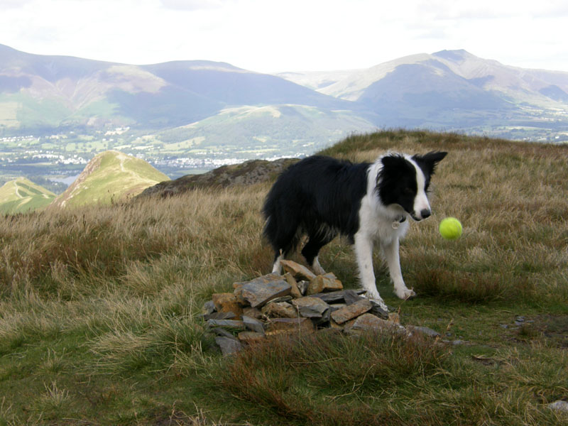Maiden Moor Summit