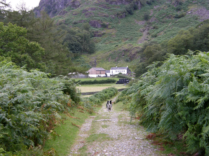 Hollows Farm