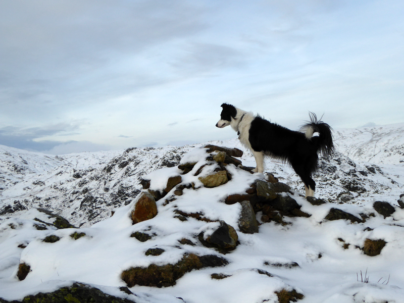 Gibson Knott  Summit