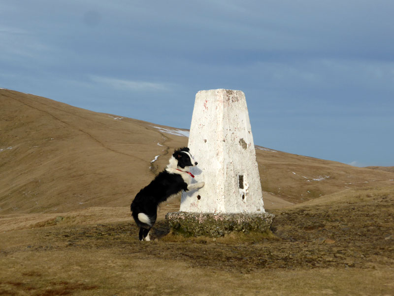 Winder Summit