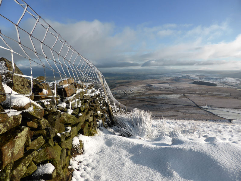 Frozen Fence