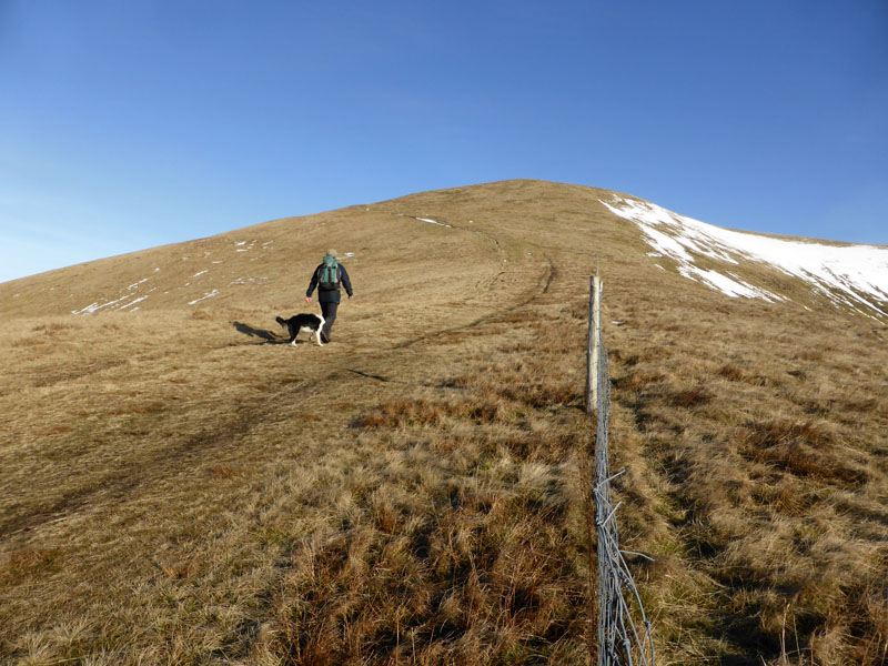 Ascending Calders