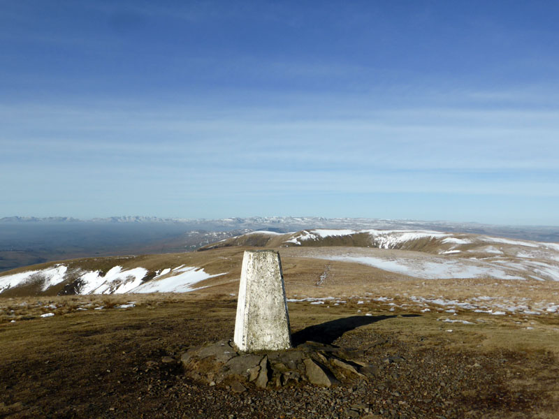 The Calf Summit