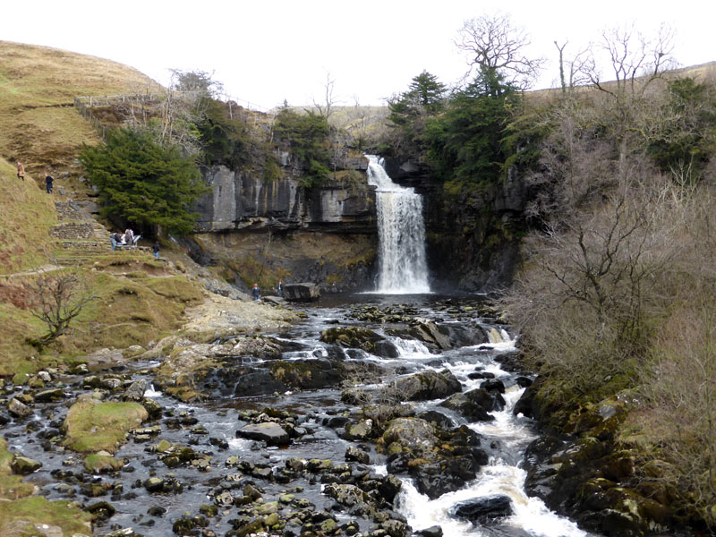 Thornton Force