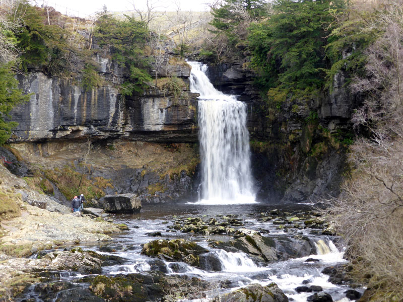 Thornton Force