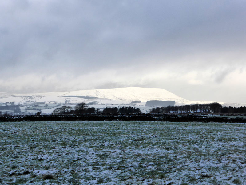 Pendle View