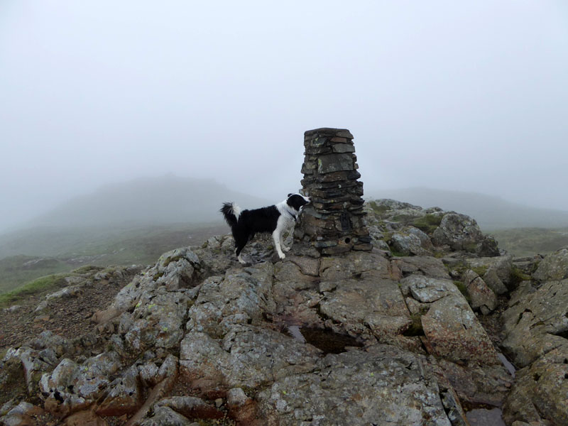 High Seat Summit