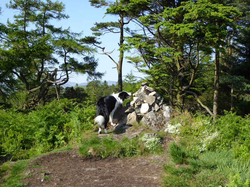 Raven Crag Summit