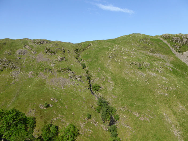 Mere Gill