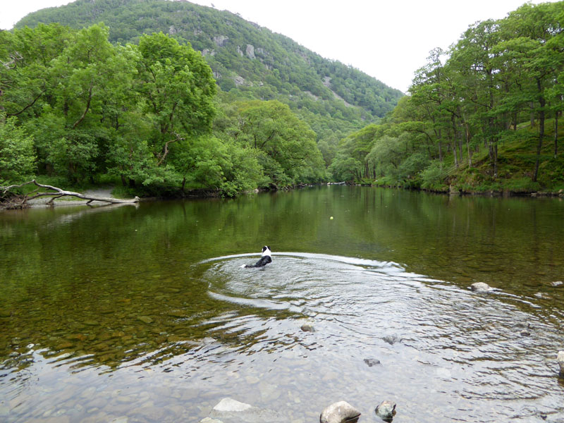 Paddles Borrowdale