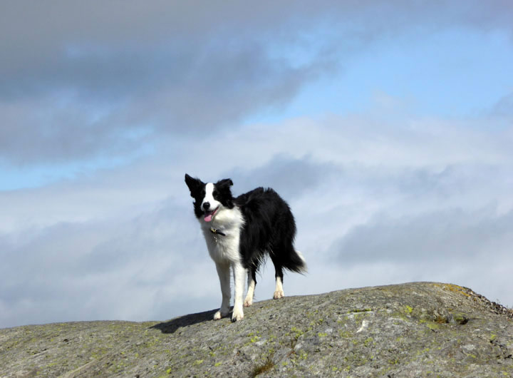 armboth fell summit