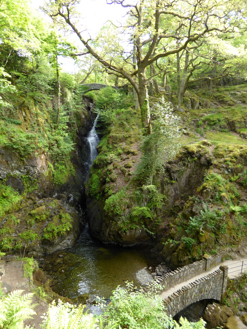 Aira Force