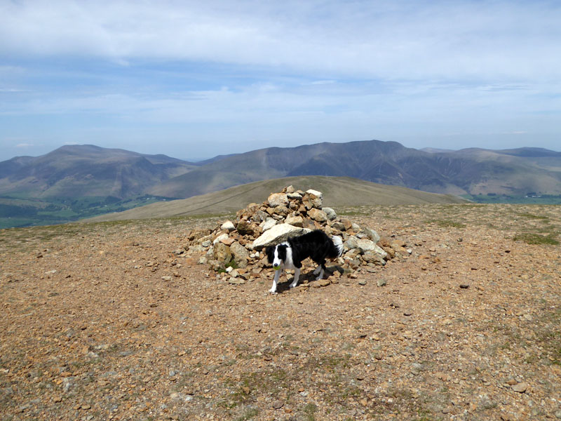 Great Dodd Summit