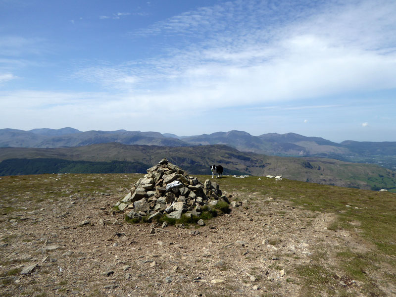 Watsons Dodd Summit