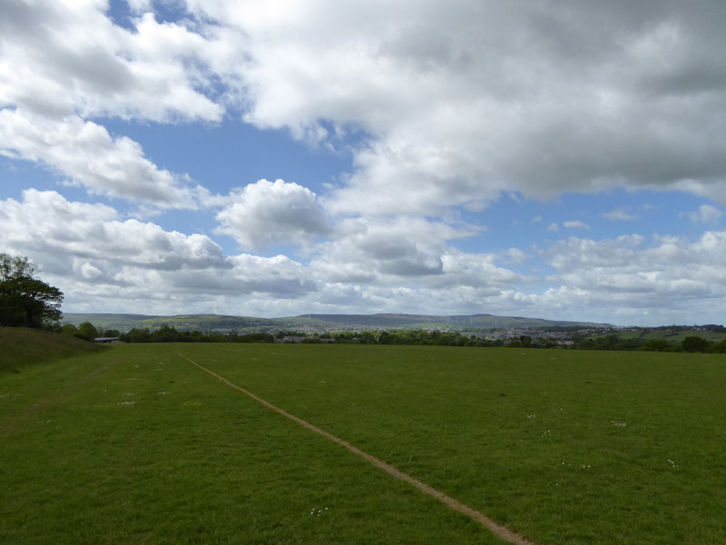 Prairie Fields