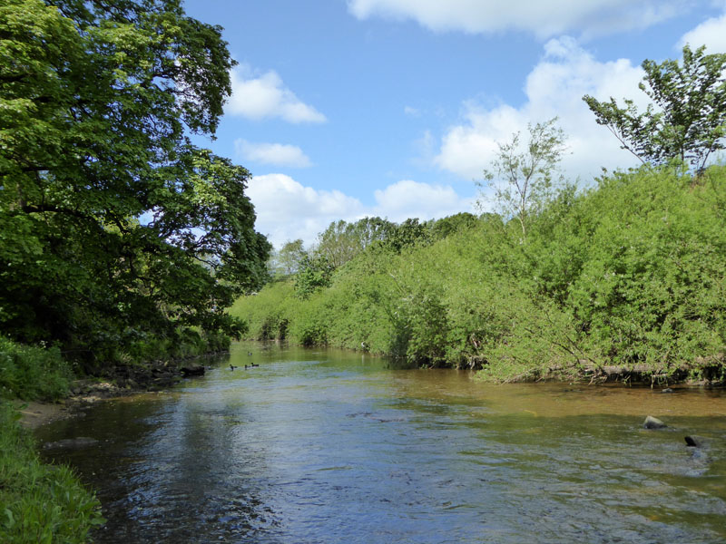 Pendle Water