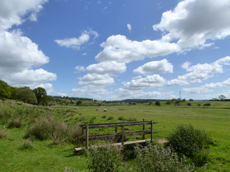 Calder Plain