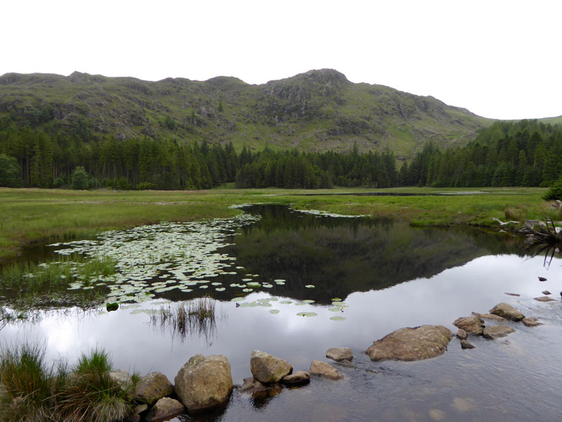 Harrop Tarn