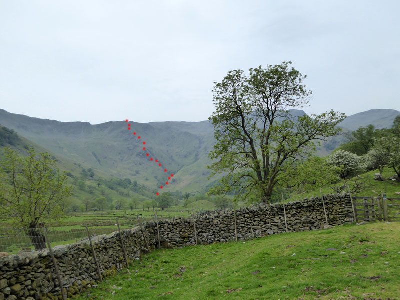 Hogget Gill