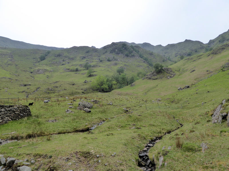 Hogget Gill