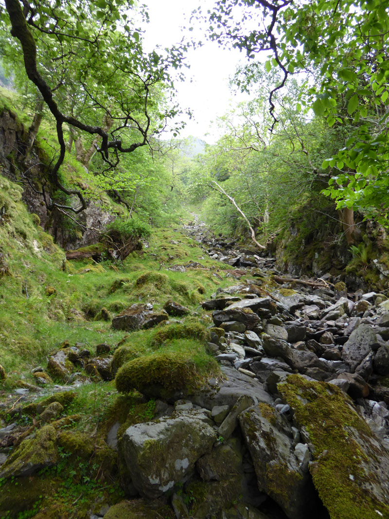 Hogget Gill