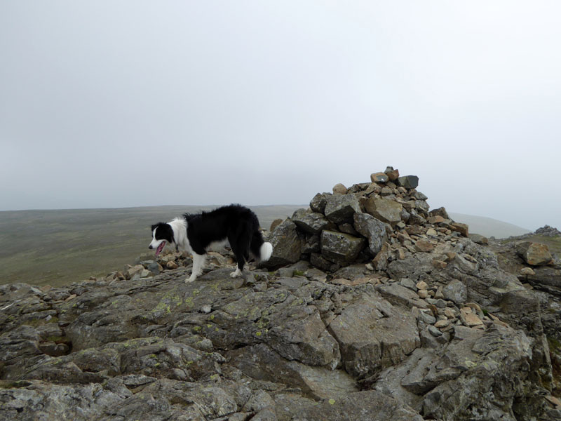 Dove Crag Summit