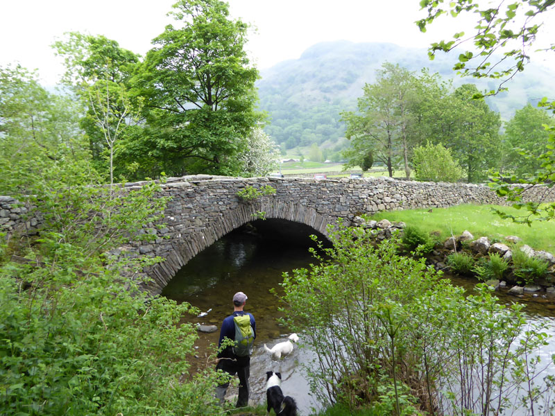 Cow Bridge